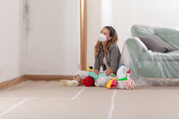 Reliable Mold Cleanup contractor in Little Falls, NY by WQB Mold Removal